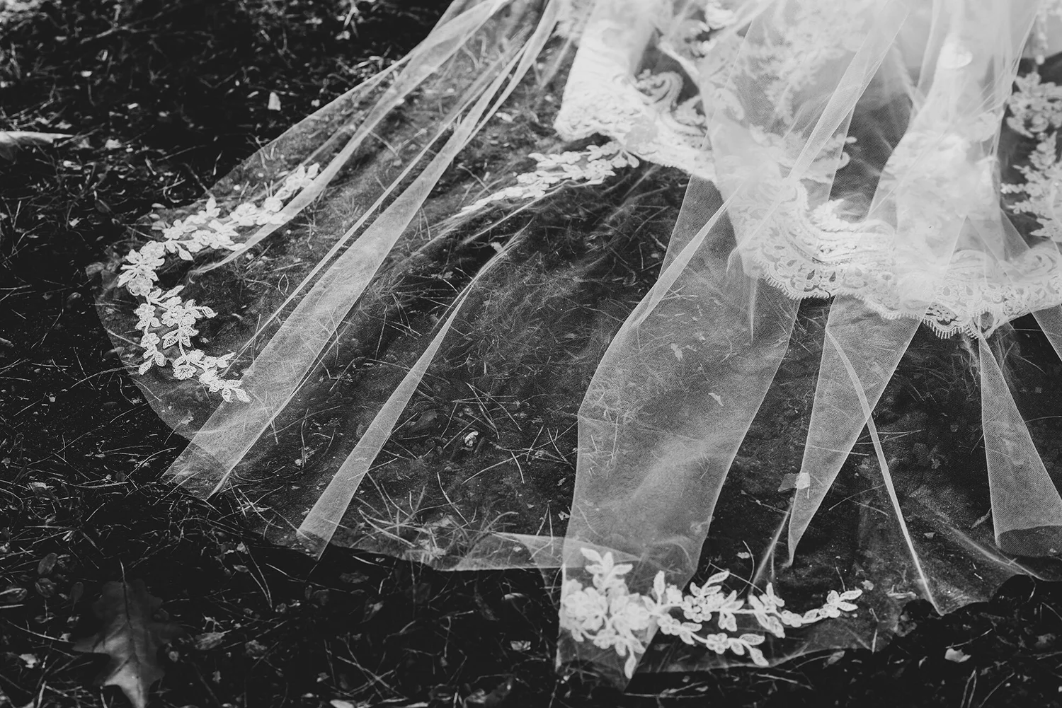 Weddings photo 1 of 14