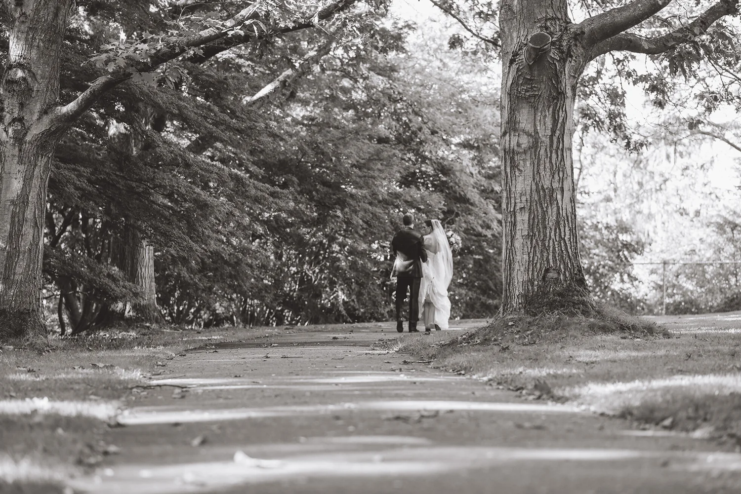 Weddings photo 5 of 14